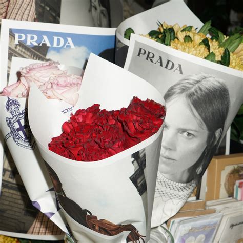 prada plants|prada flower ideas.